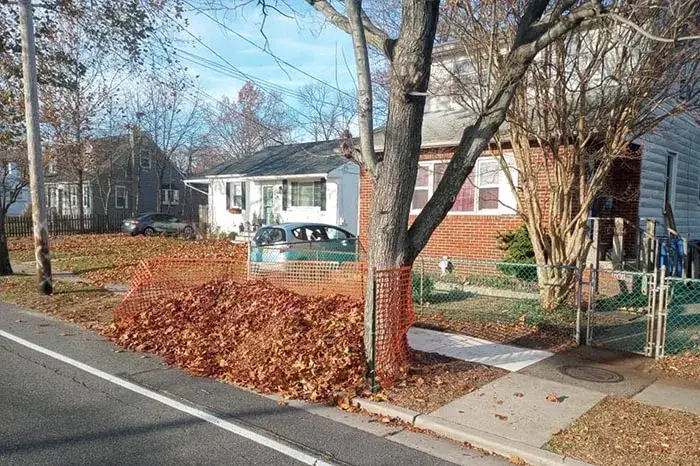 Fall Cleanup
