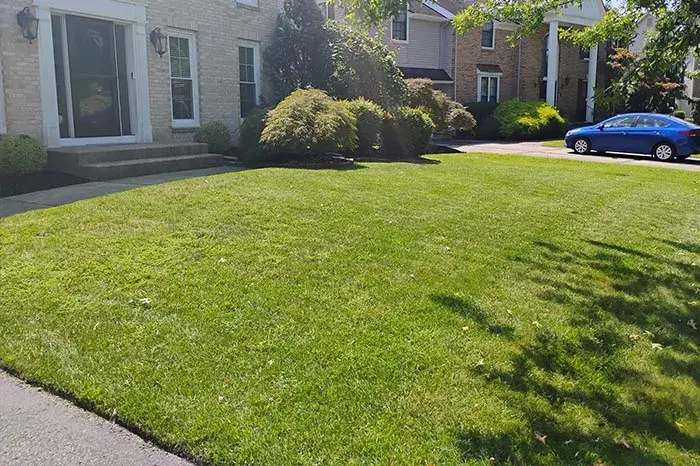 Lawn Care Services