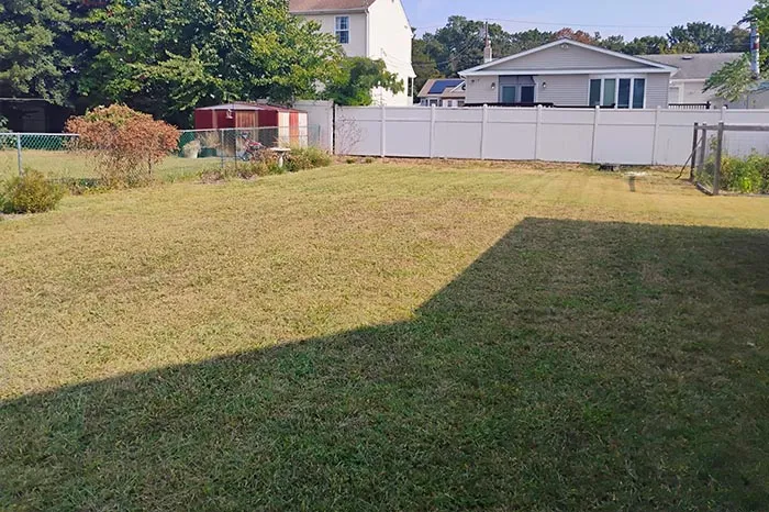 Lawn Maintenance