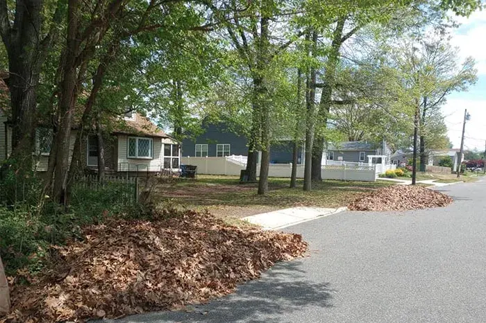 Spring Cleanup