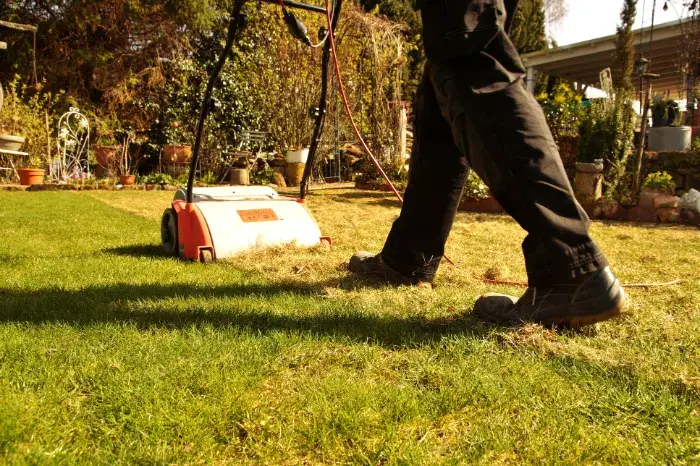 Affordable Lawn Maintenance in National Park, NJ
