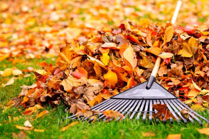 Detailed Fall Cleanup in National Park, NJ
