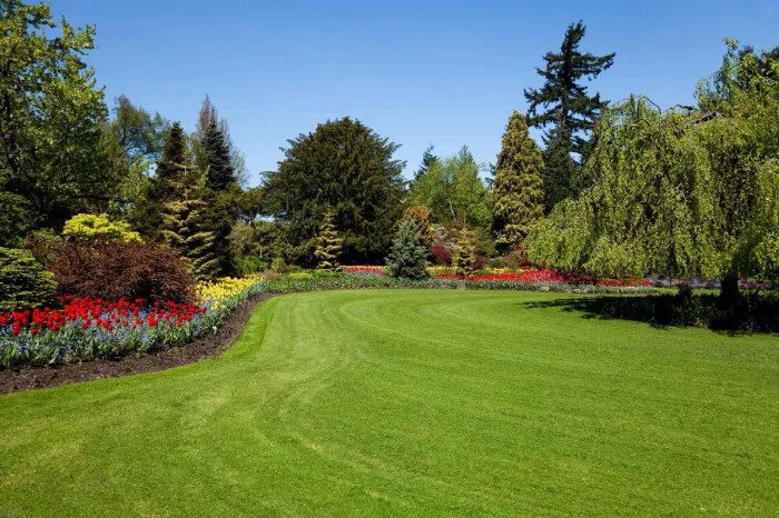 How to Care for Your Lawn National Park, NJ