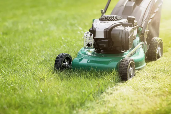 How to Care for Your Lawn in National Park, NJ