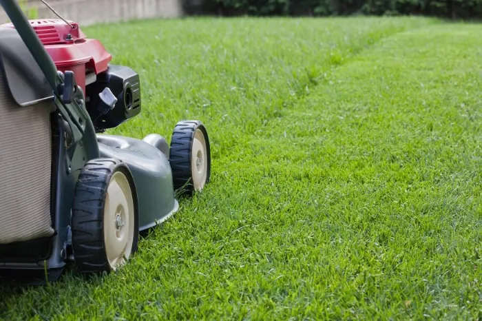 Lawn Care Tips National Park, NJ