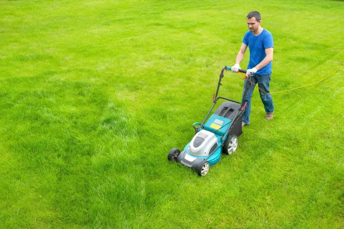Lawn Care Tips in National Park, NJ