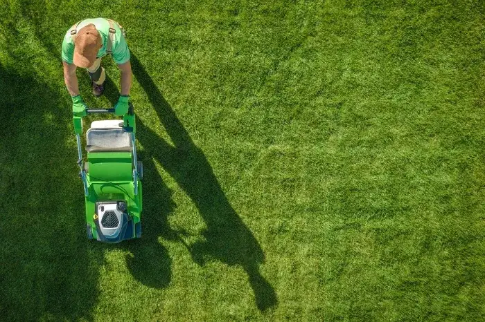 Professional Lawn Maintenance in National Park, NJ