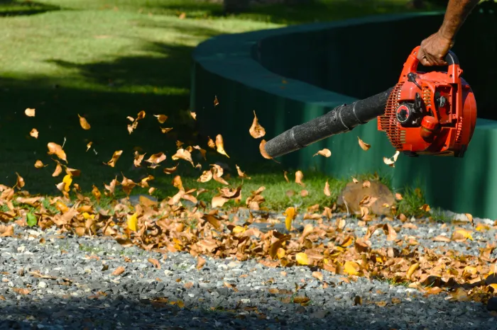 What Does Fall Cleanup Include National Park, NJ