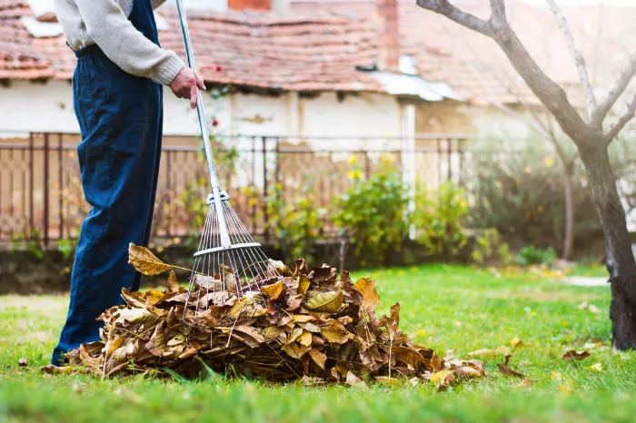 What Does Fall Cleanup Include in National Park, NJ