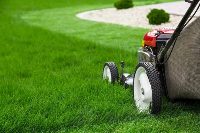 What Is Lawn Maintenance in National Park, NJ
