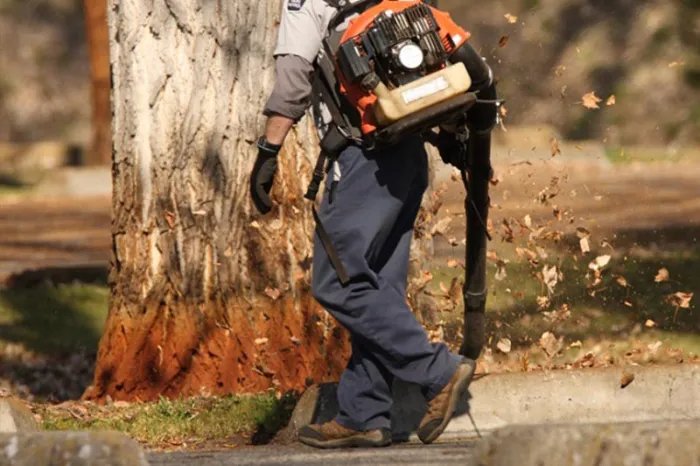 What Is a Fall Cleanup National Park, NJ