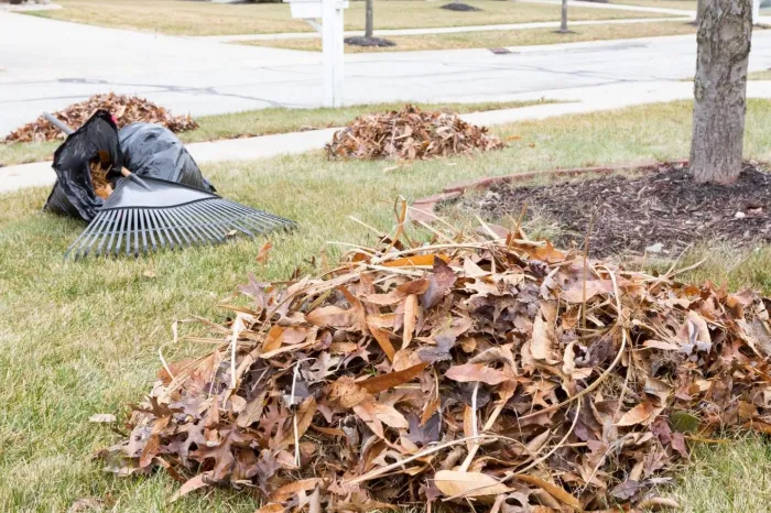What Is a Fall Cleanup in National Park, NJ
